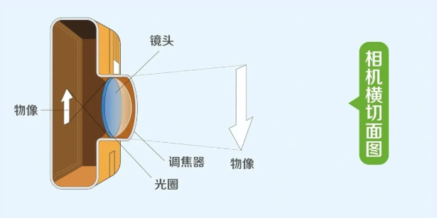 眼睛起雾了?关于白内障,看这一篇就够了!